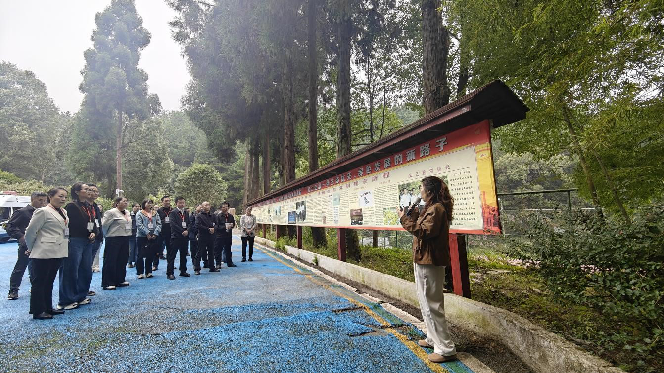 23 /upload/images/admin/1/20251124/20251124235032161PWxiG9jQlmhPSTt.jpg